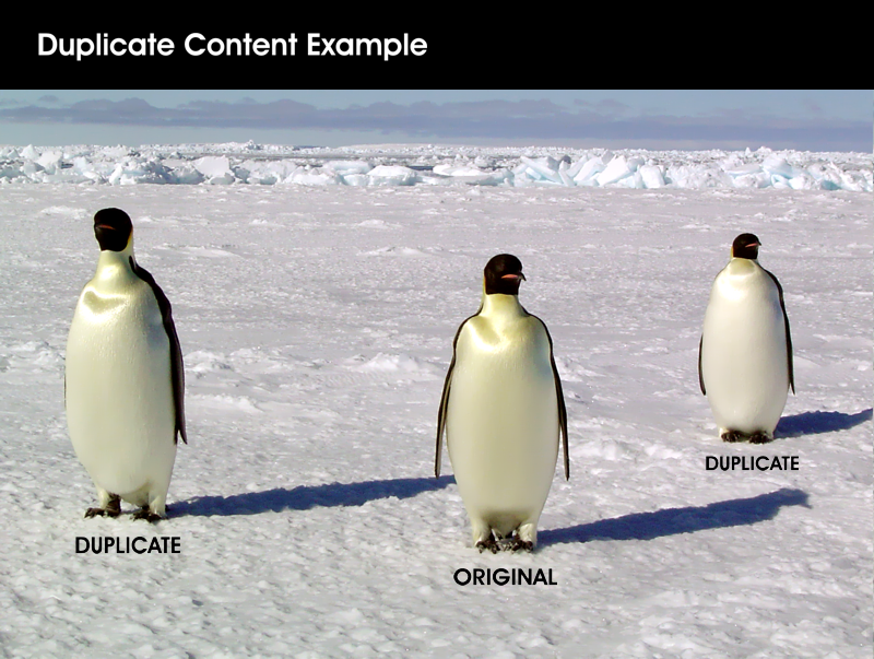 Duplicate Content Example